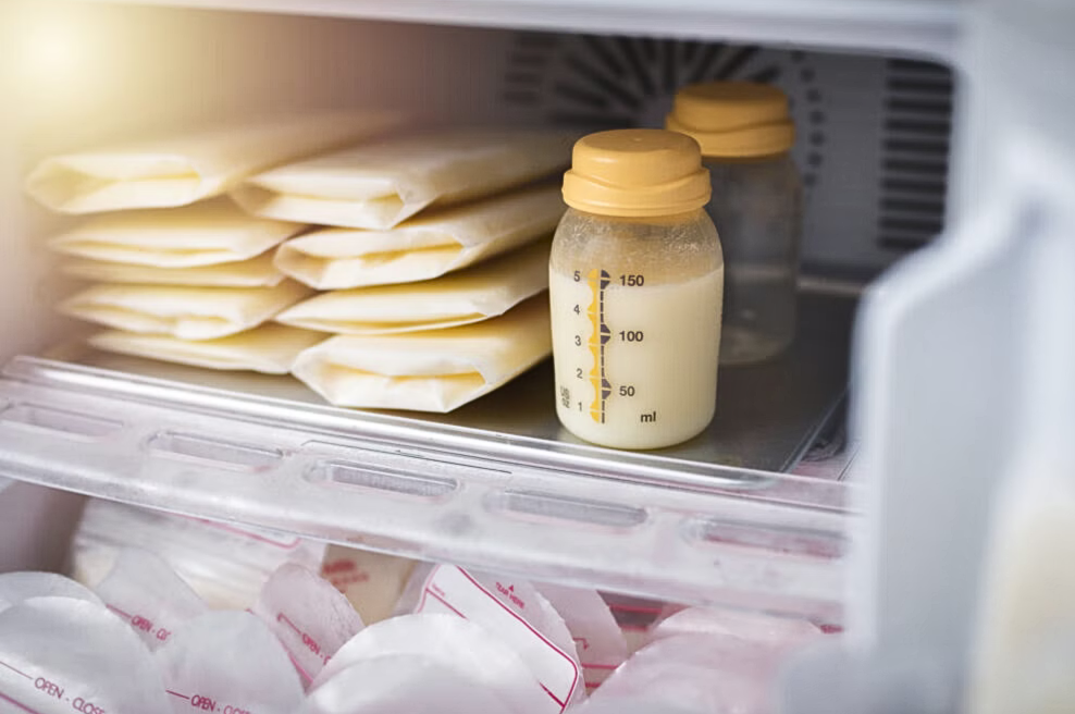 Sữa mẹ để ngăn mát / đông bằng túi bảo quản sữa chuyên dụng