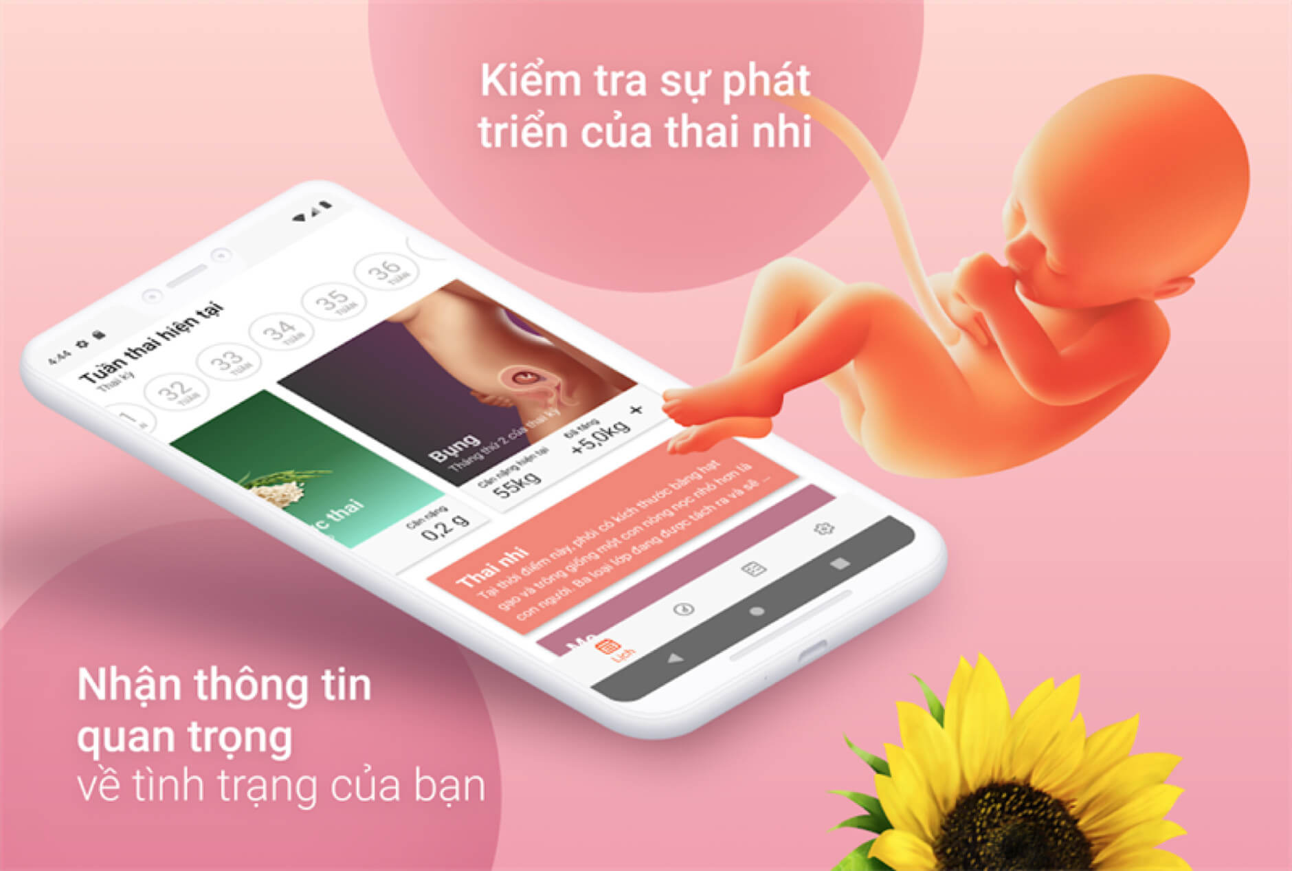 Mách mẹ bầu 5 app theo dõi thai kỳ miễn phí tốt nhất hiện nay