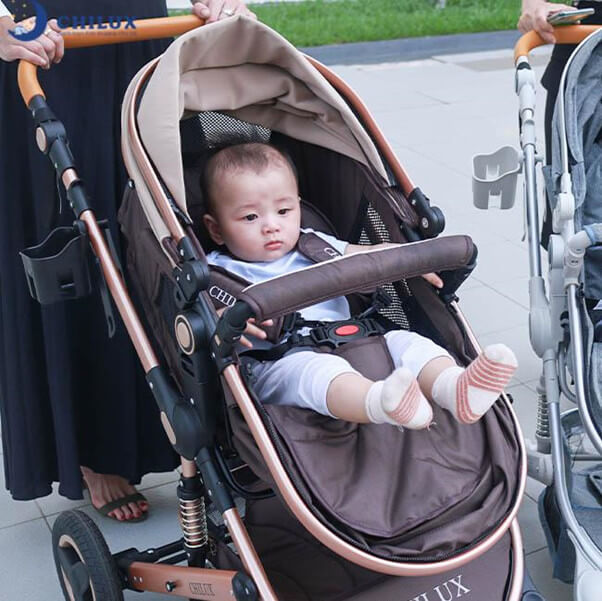 Các loại xe đẩy cho trẻ sơ sinh cũng rất cần thiết mỗi khi đưa bé ra ngoài dạo chơi