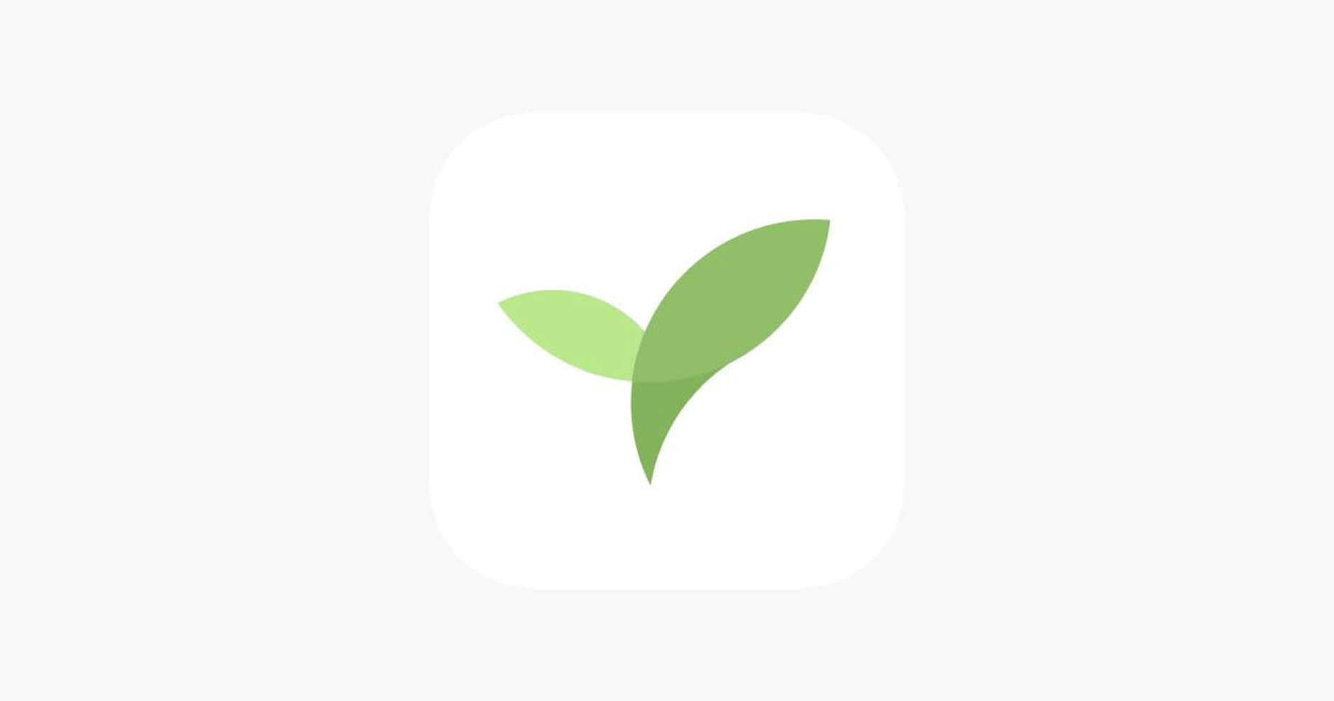 Plantie là app giúp tập trung học tập trên trình duyệt IOS