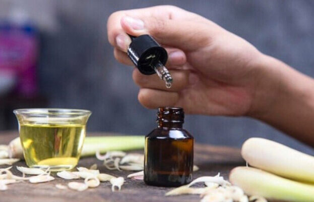 Cách làm tinh dầu sả bằng phương pháp chưng cất hơi nước