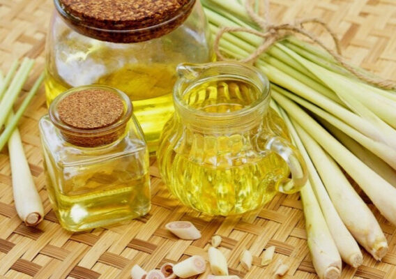 Cách làm tinh dầu sả bằng phương pháp ngâm dầu
