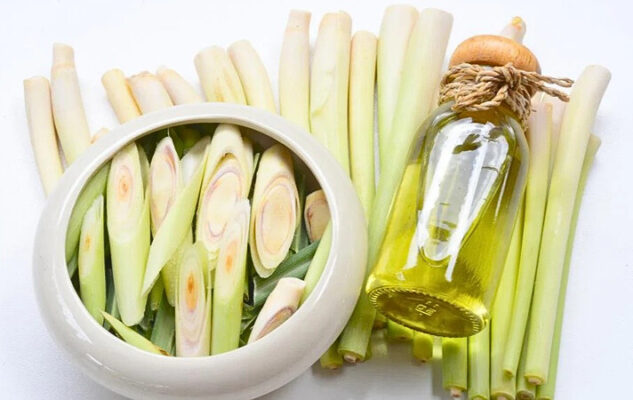 Cách làm tinh dầu sả tại nhà