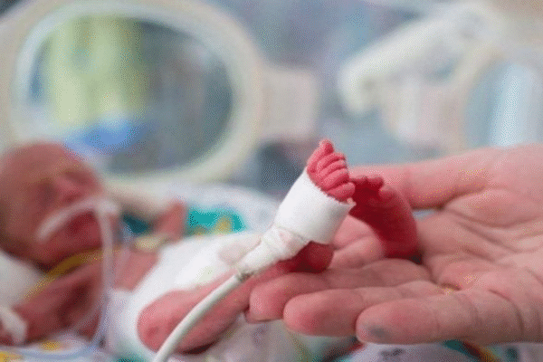 Bổ sung axit folic trước khi mang thai giảm tình trạng sinh non và suy dinh dưỡng thai