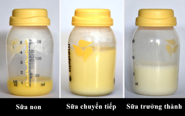 Sữa chuyển tiếp và sữa trưởng thành thường loãng hơn