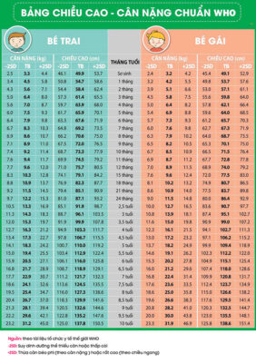 Biểu đồ tăng trưởng chuẩn của Tổ chức Y tế Thế giới (WHO)