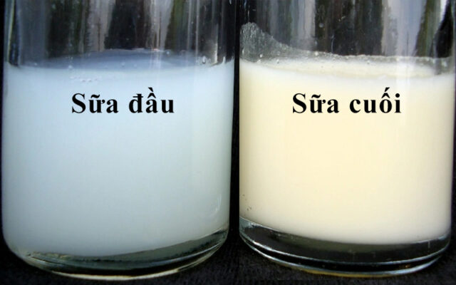 Sữa mẹ loãng và sữa mẹ đặc
