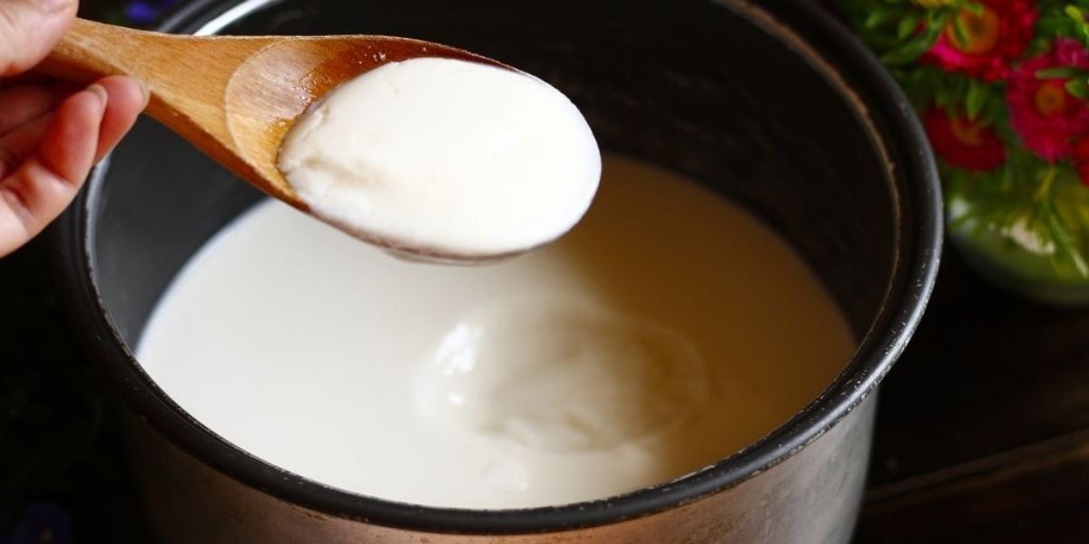 Lưu ý khi sử dụng sữa chua