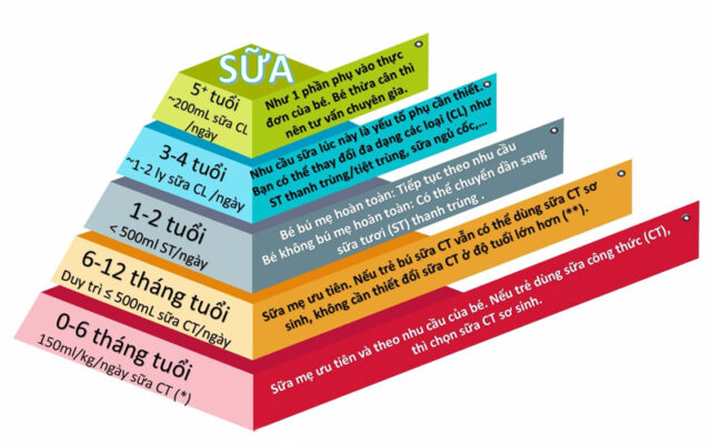 Nhu cầu sữa theo từng độ tuổi của trẻ